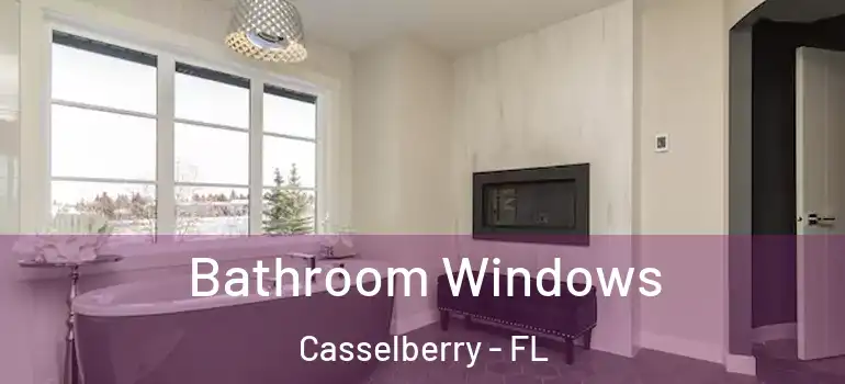  Bathroom Windows Casselberry - FL