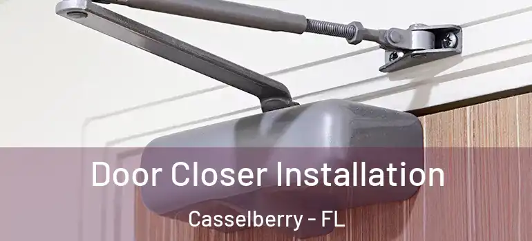  Door Closer Installation Casselberry - FL