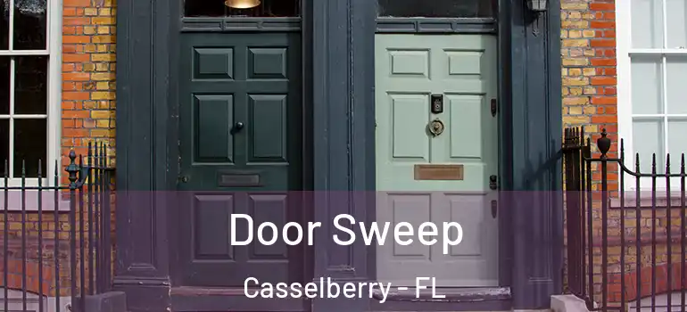  Door Sweep Casselberry - FL