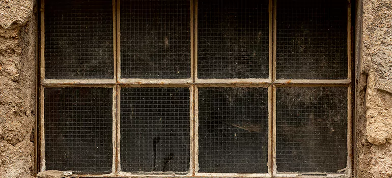 Traditional Double Front Doors in Casselberry, FL