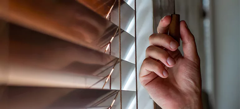 Double Roller Blinds in Casselberry, FL