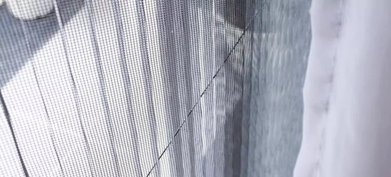 Fixing Screen Window Mesh in Casselberry, FL