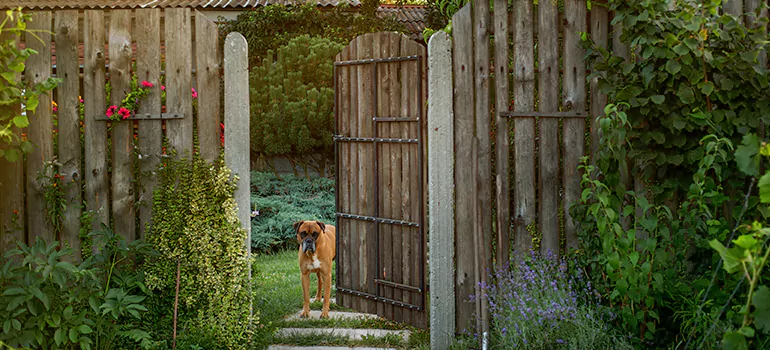 Winter Garden Garage Door Repair in Casselberry,[location field=state]