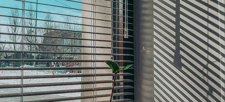 Commercial Window Blinds in Casselberry, FL