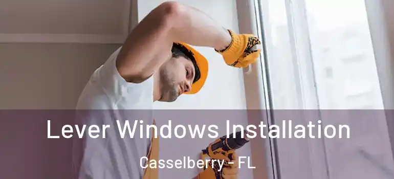  Lever Windows Installation Casselberry - FL
