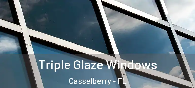  Triple Glaze Windows Casselberry - FL