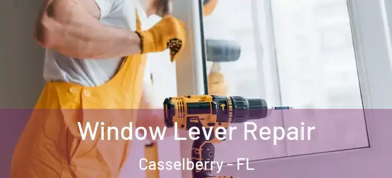  Window Lever Repair Casselberry - FL