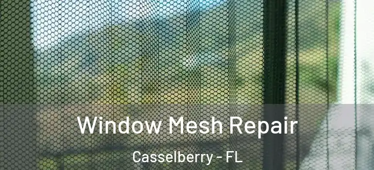  Window Mesh Repair Casselberry - FL