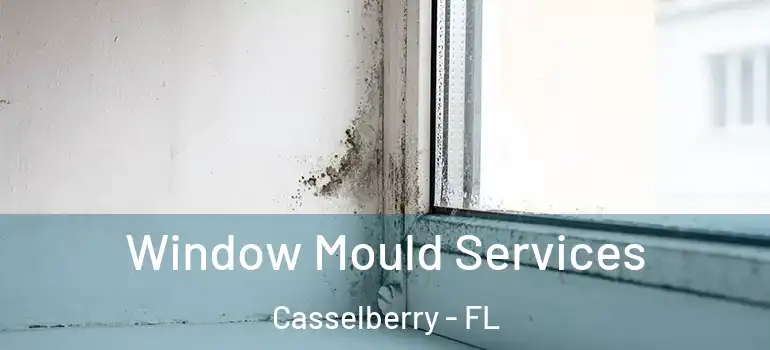  Window Mould Services Casselberry - FL